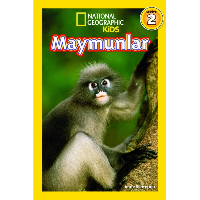 Maymunlar