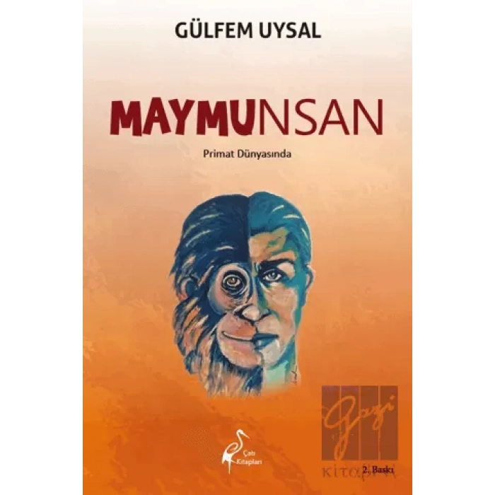 Maymunsan - Primat Dünyasında