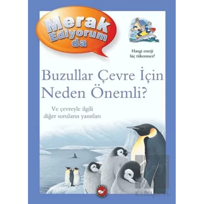 Merak Ediyorum da - Buzullar Çevre İçin Neden Önemli?