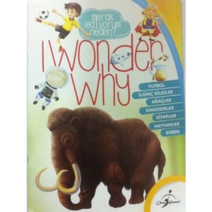 Merak Ediyorum Neden ?
