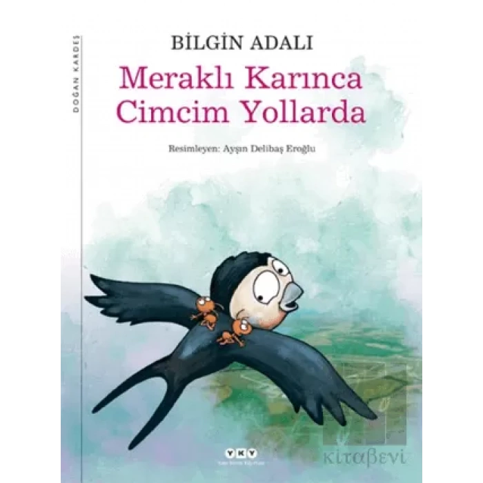 Meraklı Karınca Cimcim Yollarda