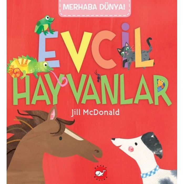 Merhaba Dünya! Evcil  Hayvanlar