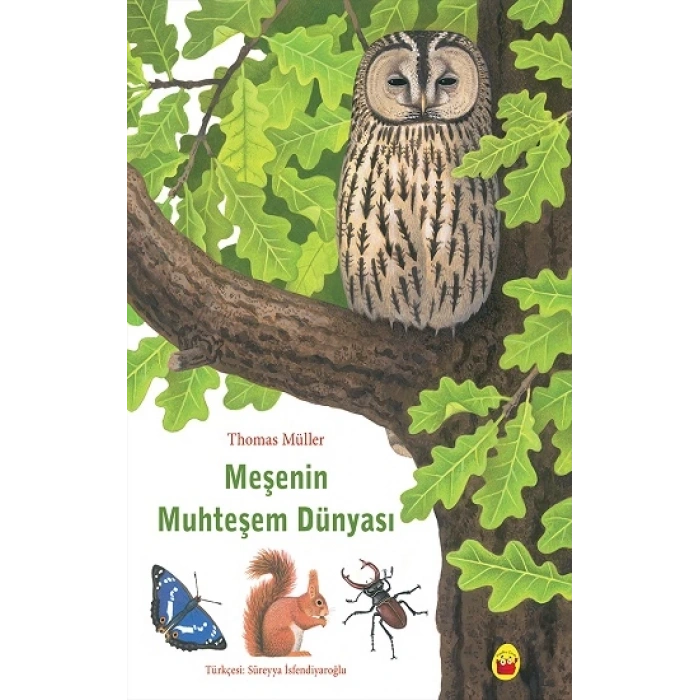 Meşenin Muhteşem Dünyası
