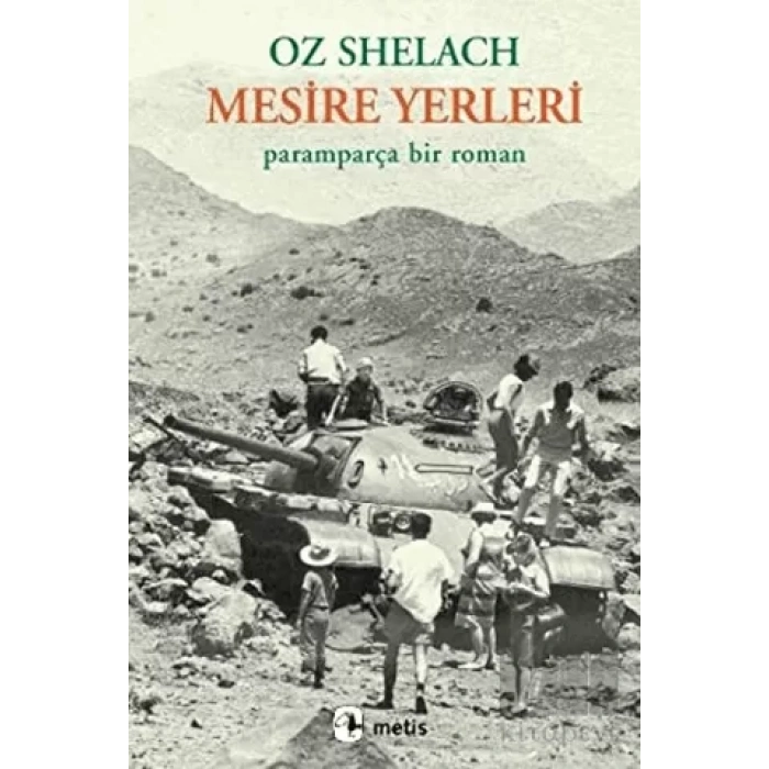 Mesire Yerleri: Paramparça Bir Roman