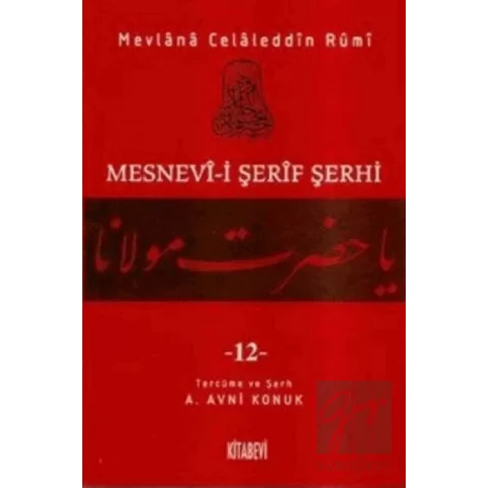 Mesnevi-i Şerif Şerhi Cilt: 12