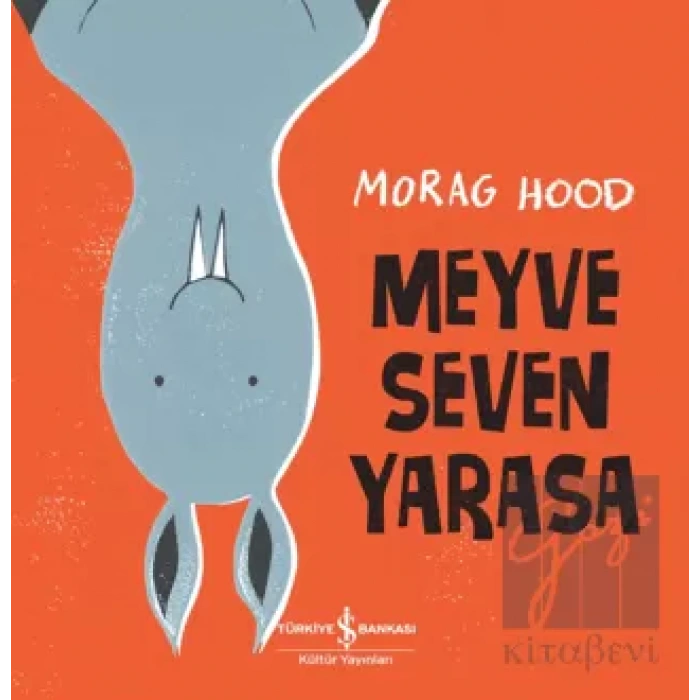 Meyve Seven Yarasa