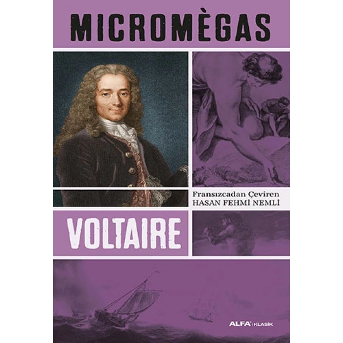 Micromegas