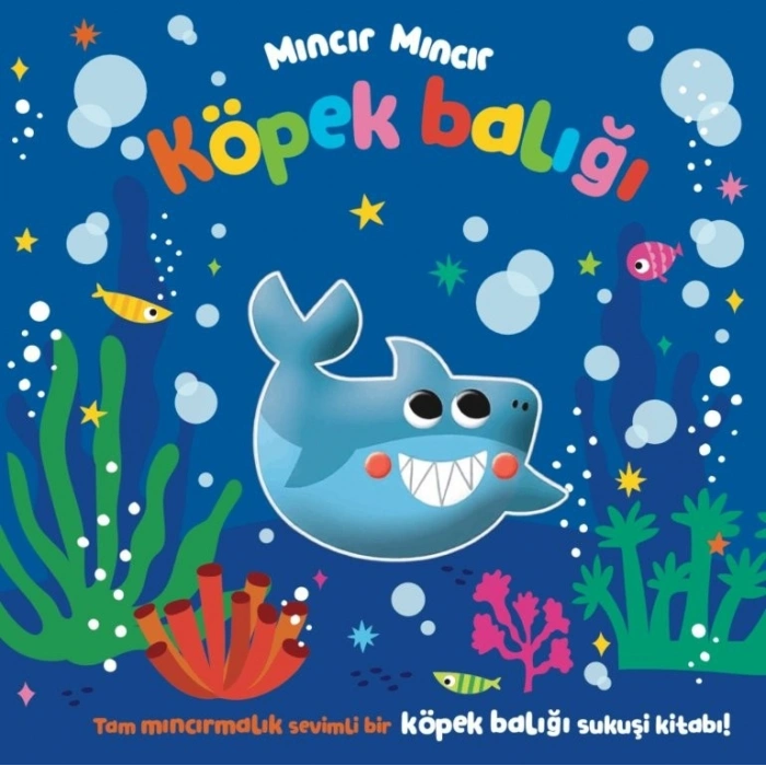 Mıncır Mıncır Köpek Balığı Sukuşi