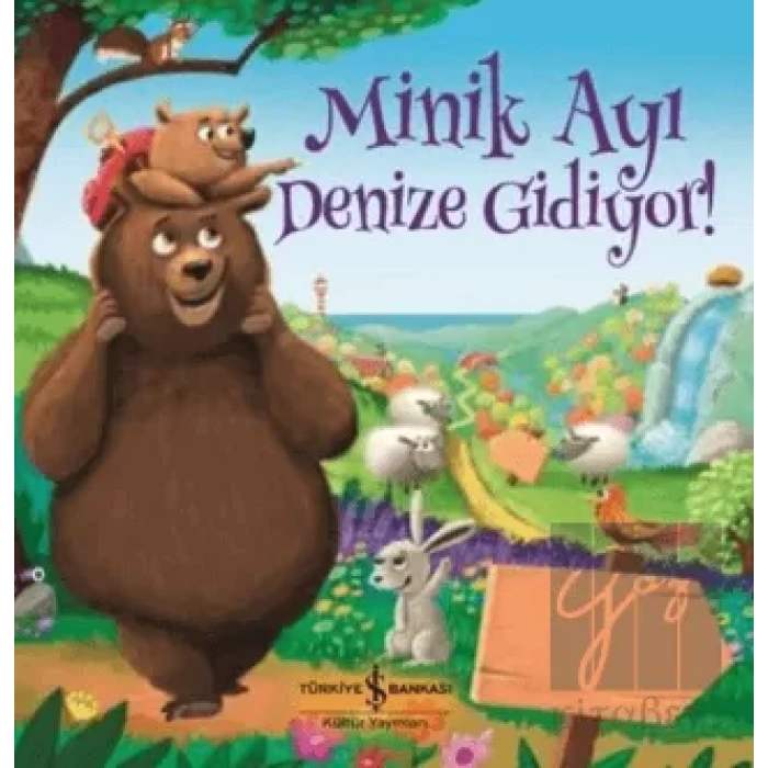 Minik Ayı Denize Gidiyor