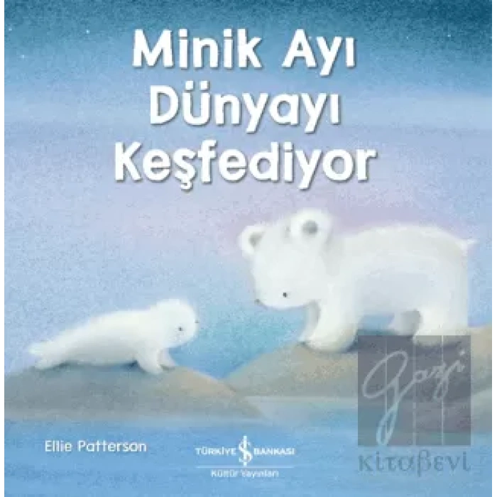 Minik Ayı Dünyayı Keşfediyor