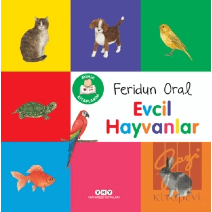 Minik Kitaplarım – Evcil Hayvanlar