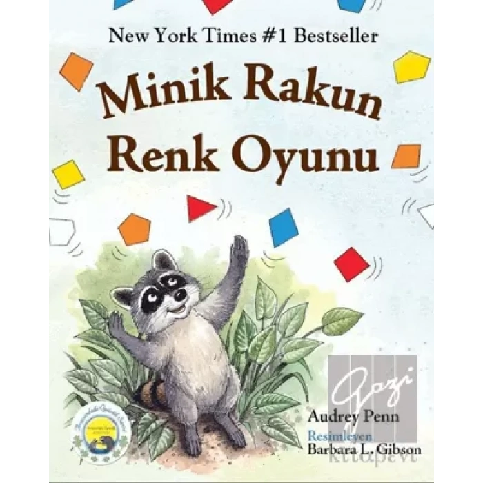 Minik Rakun Renk Oyunu