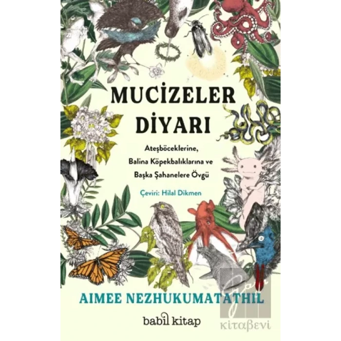 Mucizeler Diyarı: Ateşböceklerine, Balina Köpekbalıklarına ve Başka Şahanelere Övgü