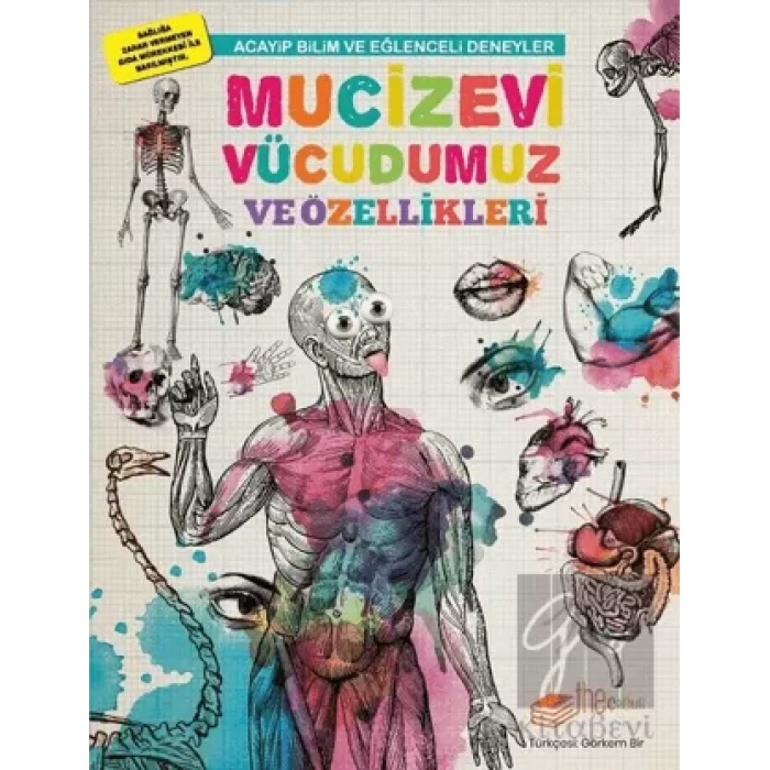 Mucizevi Vücudumuz ve Özellikleri