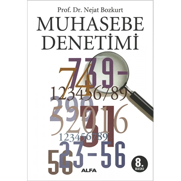 Muhasebe Denetimi