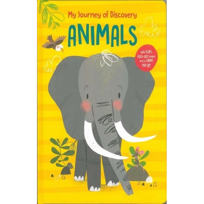 My Journey Of Discovery: Animals