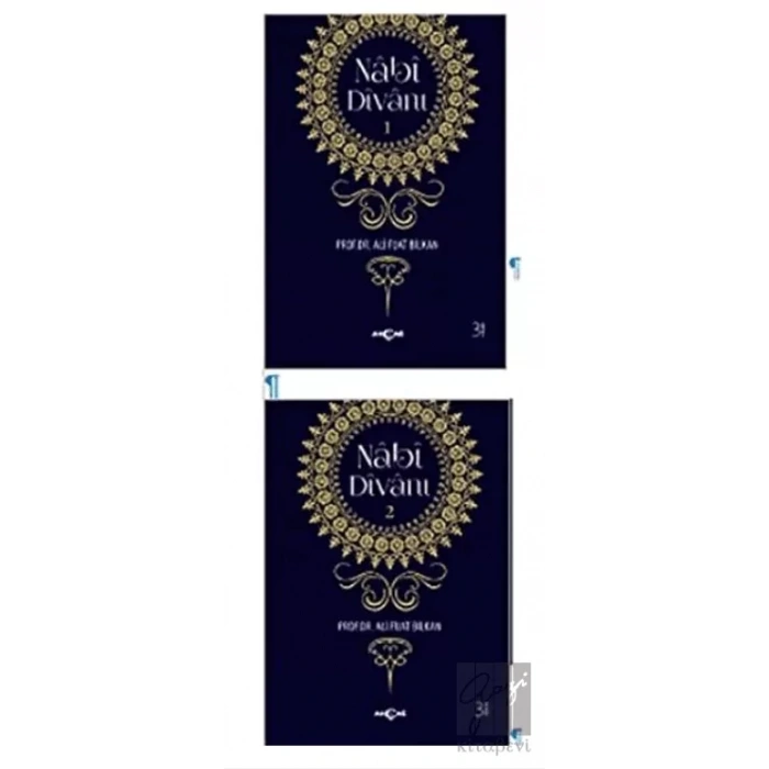 Nabi Divanı (2 Kitap Takım)