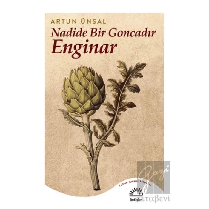 Nadide Bir Goncadır Enginar