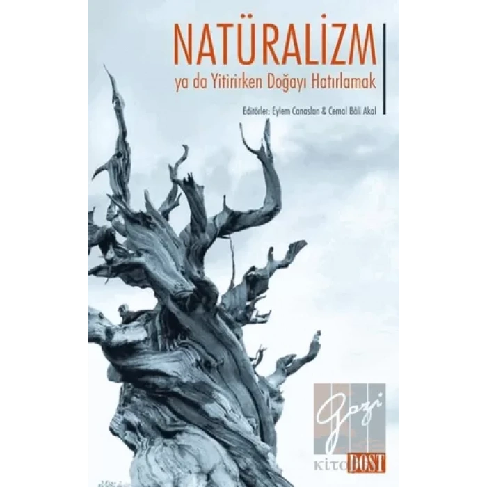 Natüralizm ya da Yitirirken Doğayı Hatırlamak