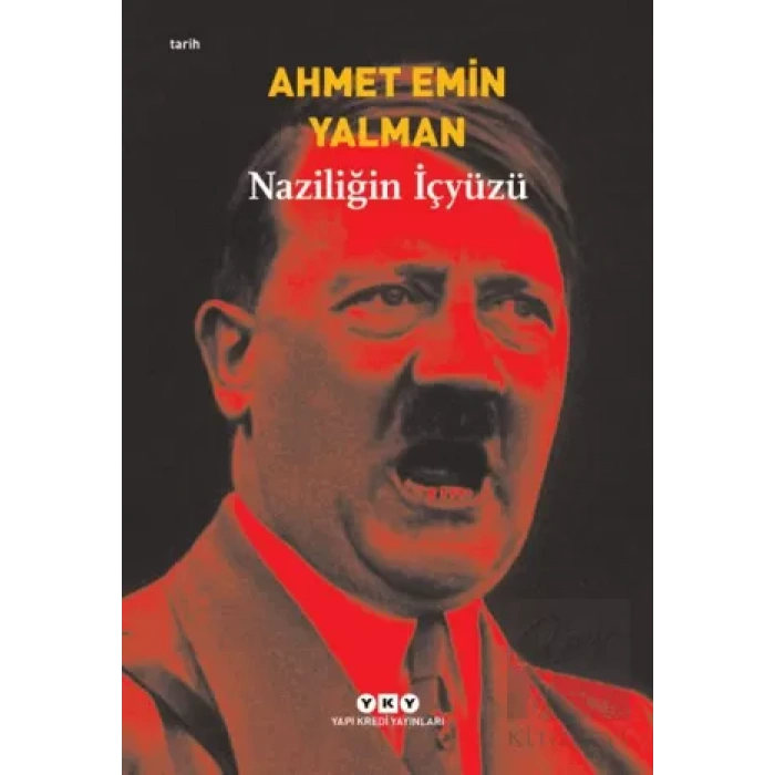 Naziliğin İçyüzü
