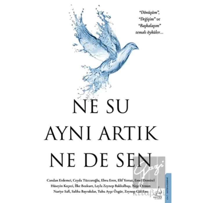 Ne Su Aynı Artık Ne de Sen