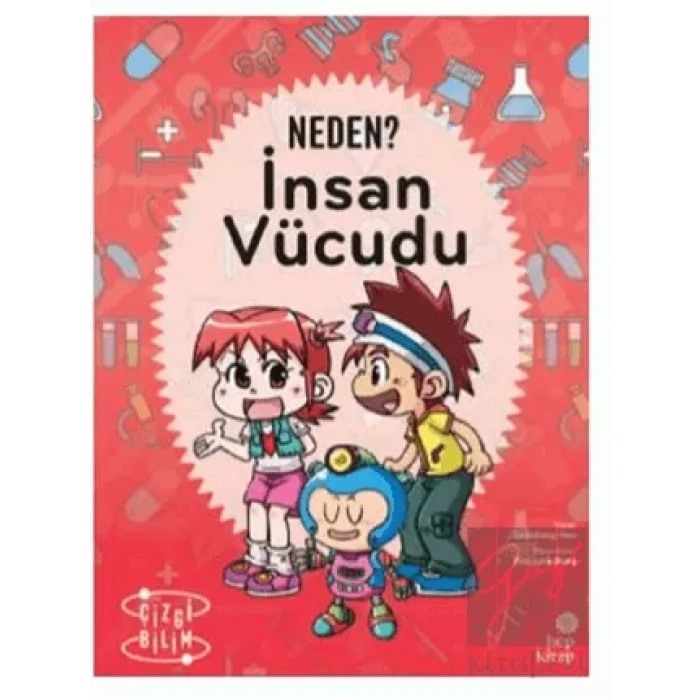 Neden? İnsan Vücudu