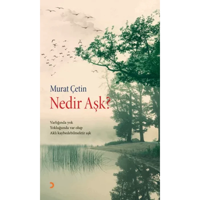 Nedir Aşk?