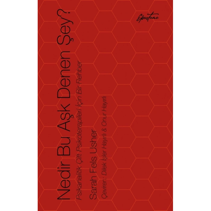 Nedir Bu Aşk Denen Şey?