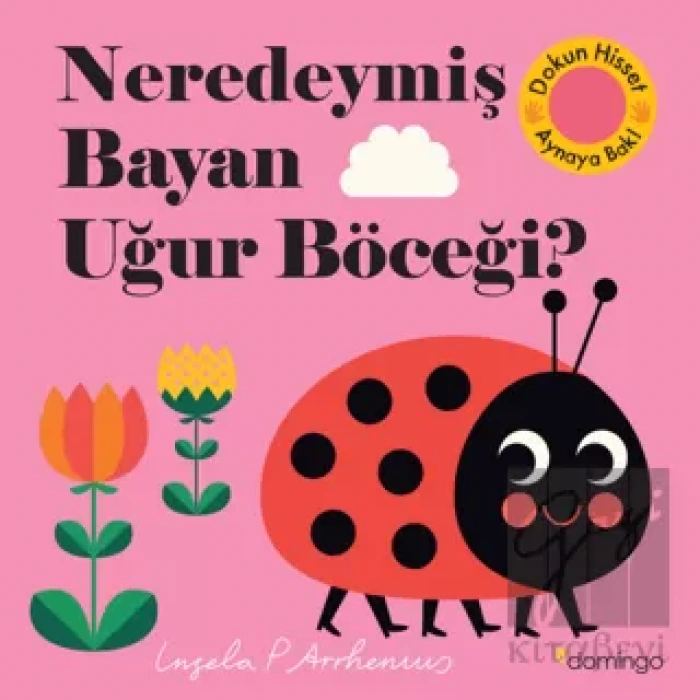 Neredeymiş Bayan Uğur Böceği? (Ciltli)
