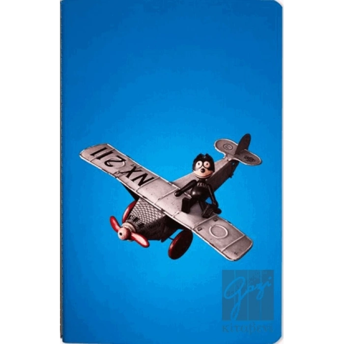 Nesin Defter - Felix