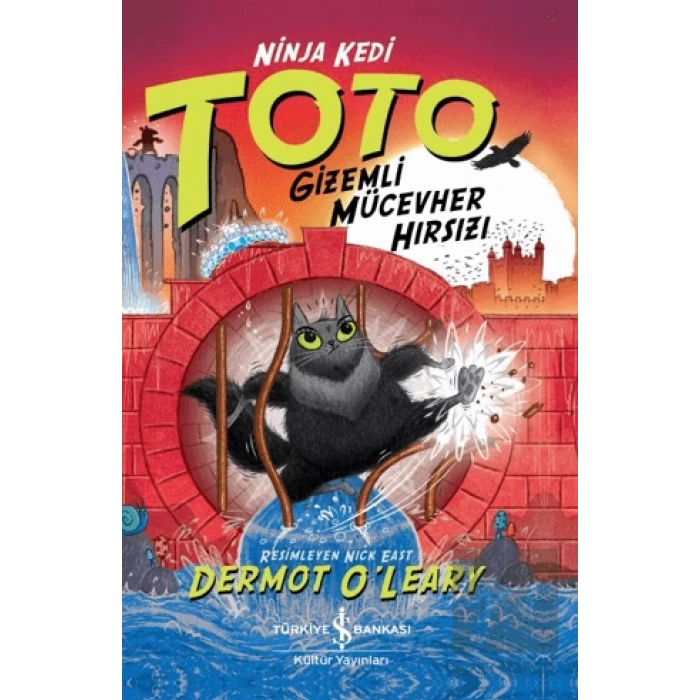Ninja Kedi Toto – Gizemli Mücevher Hırsızı