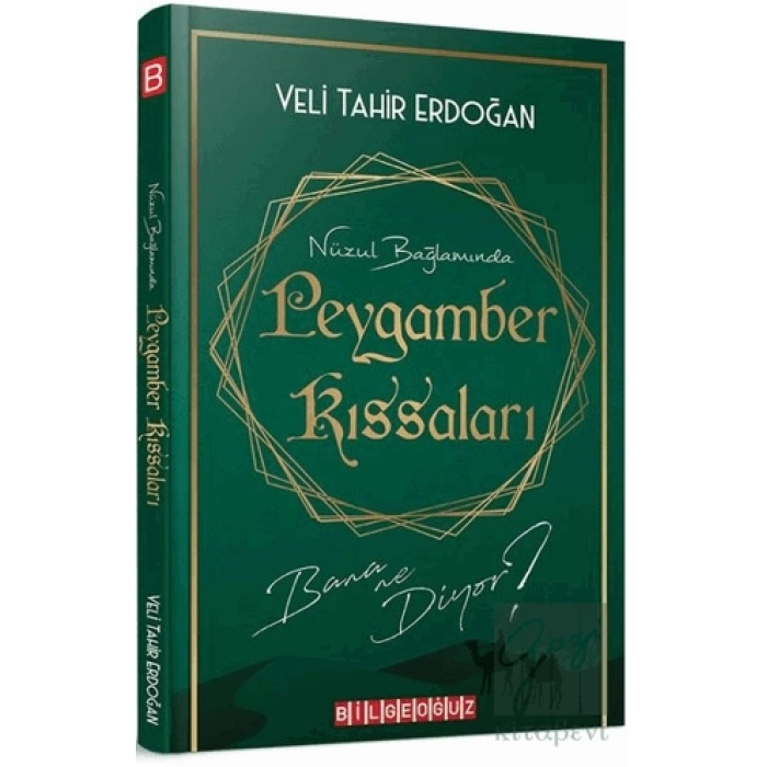 Nüzul Bağlamında Peygamber Kıssaları Bana Ne Diyor?