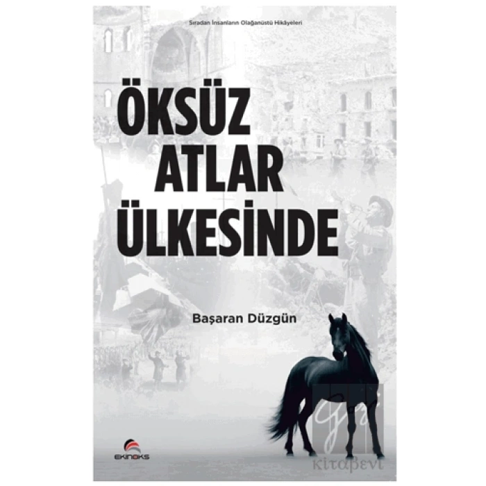 Öksüz Atlar Ülkesinde
