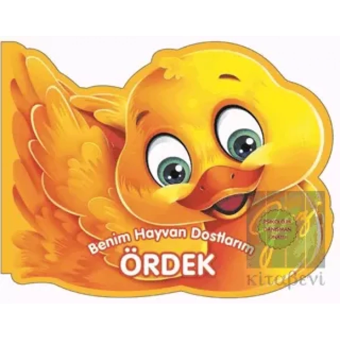 Ördek - Benim Hayvan Dostlarım