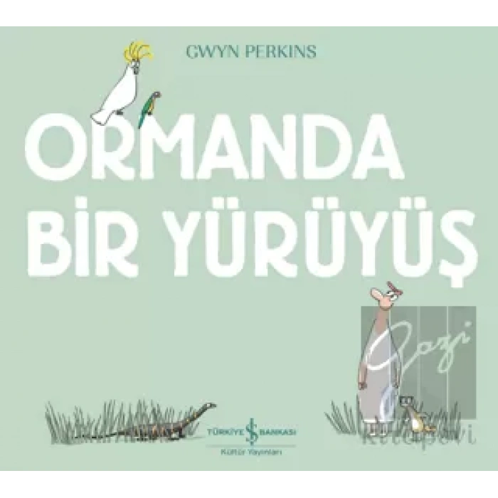 Ormanda Bir Yürüyüş
