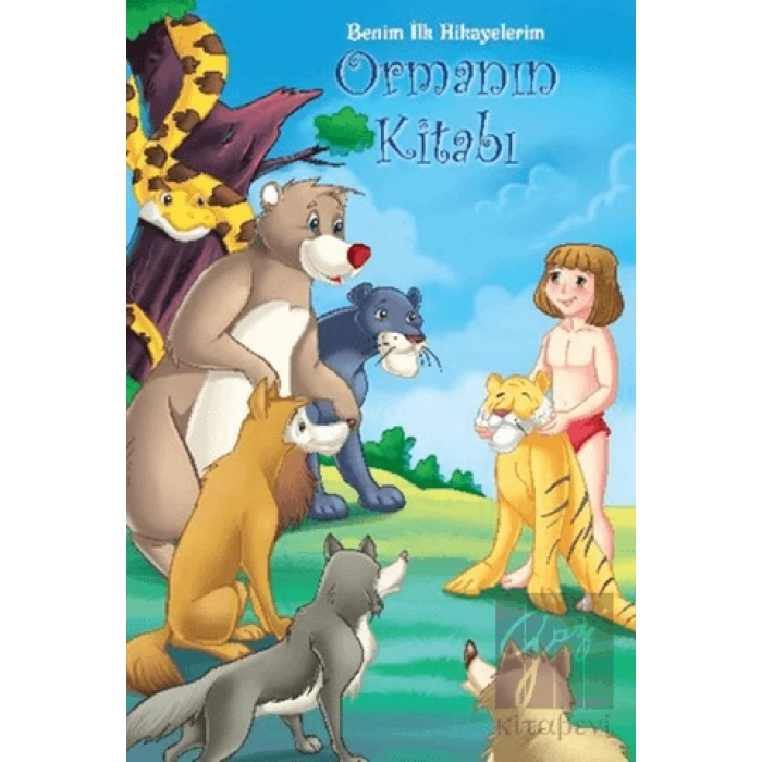 Ormanın Kitabı