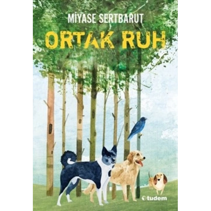 Ortak Ruh  Sisin Sakladıkları-2