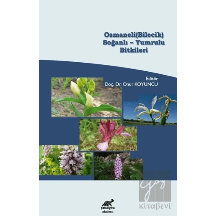 Osmaneli (Bilecik) Soğanlı - Yumrulu Bitkileri