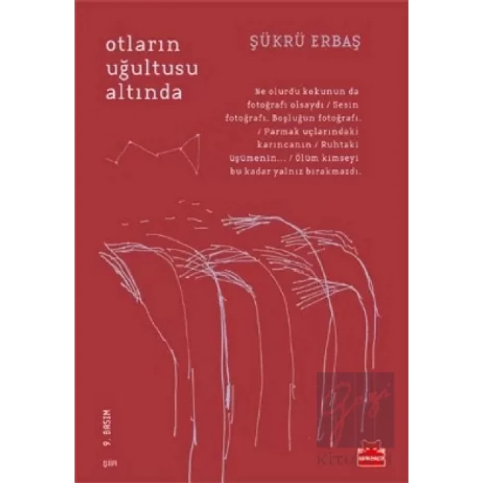 Otların Uğultusu Altında