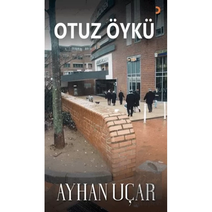 Otuz Öykü