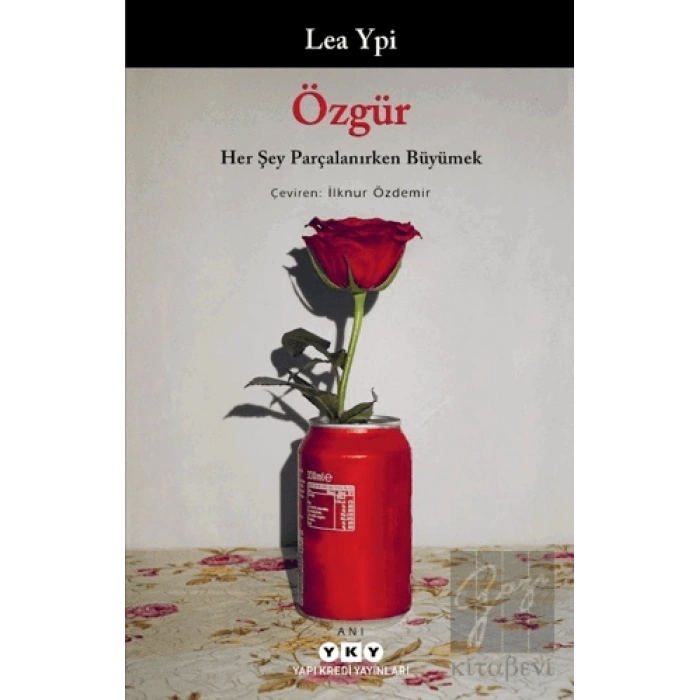 Özgür: Her Şey Parçalanırken Büyümek