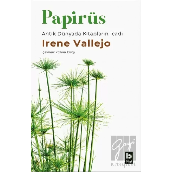 Papirüs