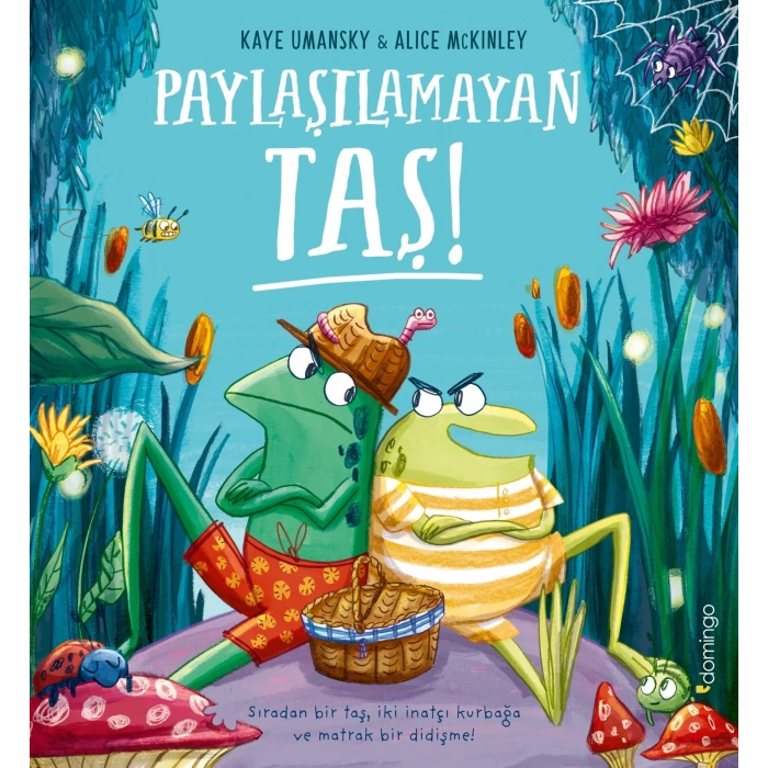 Paylaşılamayan Taş