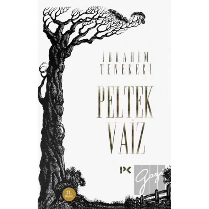 Peltek Vaiz
