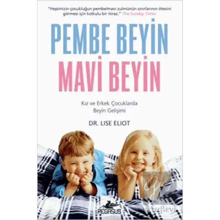 Pembe Beyin Mavi Beyin: Kız ve Erkek Çocuklarda Beyin Gelişimi