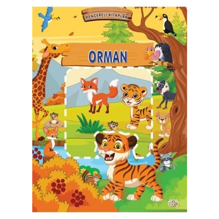 Pencereli Kitaplar Orman (Sıvama Cilt)