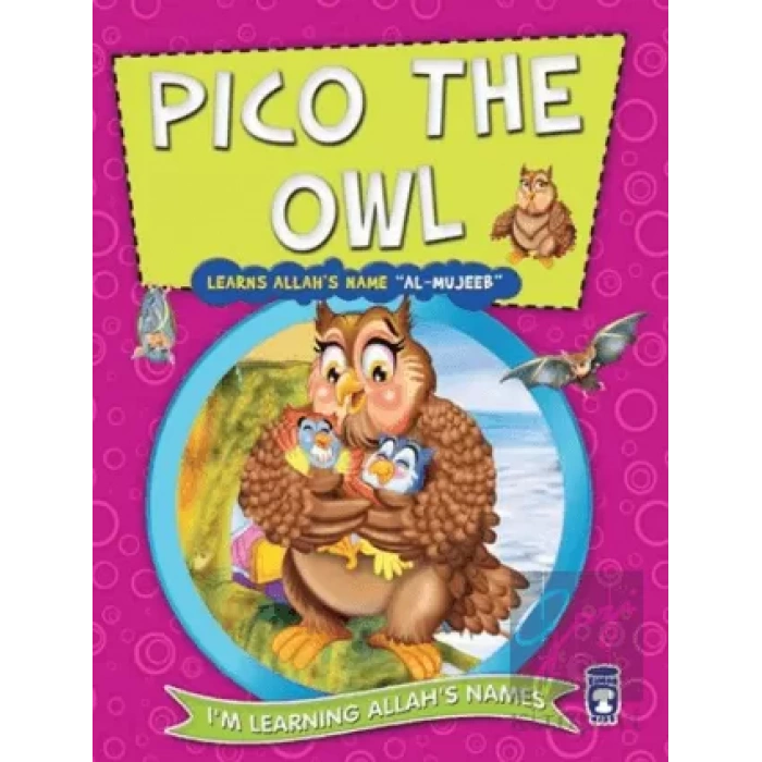 Pico the Owl Learns Allahs Name Al Mujeeb