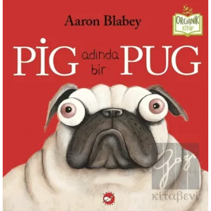 Pig Adında Bir Pug