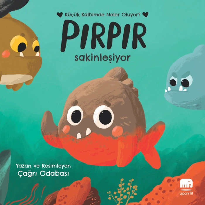 Pırpır Sakinleşiyor - Ciltli