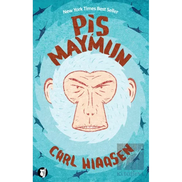 Pis Maymun